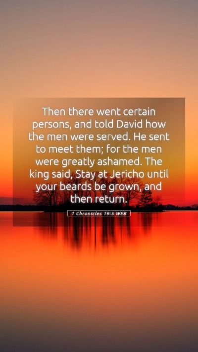 Picture 05 - 1 Chronicles 19:5 WEB Mobile Phone Wallpaper - Then there went certain persons, and told David - Mobile Bible Verse Wallpaper