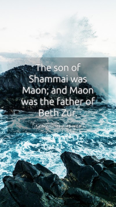 Picture 05 - 1 Chronicles 2:45 WEB Mobile Phone Wallpaper - The son of Shammai was Maon; and Maon was the - Mobile Bible Verse Wallpaper