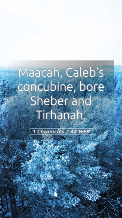Picture 05 - 1 Chronicles 2:48 WEB Mobile Phone Wallpaper - Maacah, Caleb's concubine, bore Sheber and - Mobile Bible Verse Wallpaper