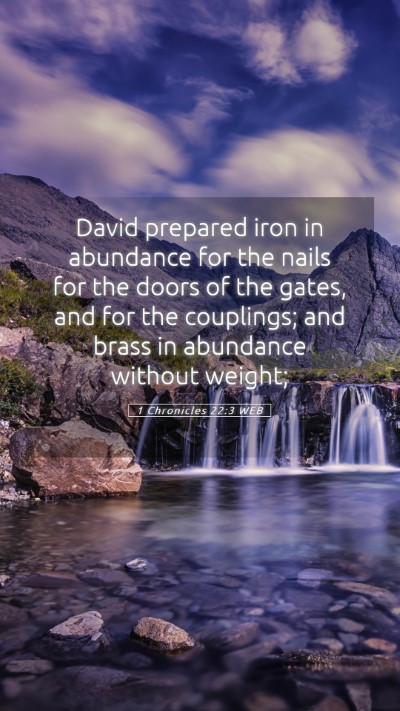 Picture 05 - 1 Chronicles 22:3 WEB Mobile Phone Wallpaper - David prepared iron in abundance for the nails - Mobile Bible Verse Wallpaper