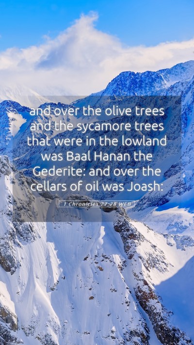 Picture 05 - 1 Chronicles 27:28 WEB Mobile Phone Wallpaper - and over the olive trees and the sycamore trees - Mobile Bible Verse Wallpaper