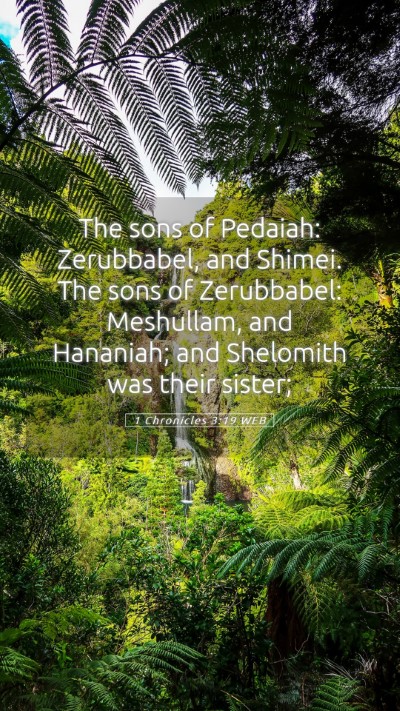 Picture 05 - 1 Chronicles 3:19 WEB Mobile Phone Wallpaper - The sons of Pedaiah: Zerubbabel, and Shimei. The - Mobile Bible Verse Wallpaper