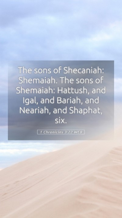 Picture 05 - 1 Chronicles 3:22 WEB Mobile Phone Wallpaper - The sons of Shecaniah: Shemaiah. The sons of - Mobile Bible Verse Wallpaper