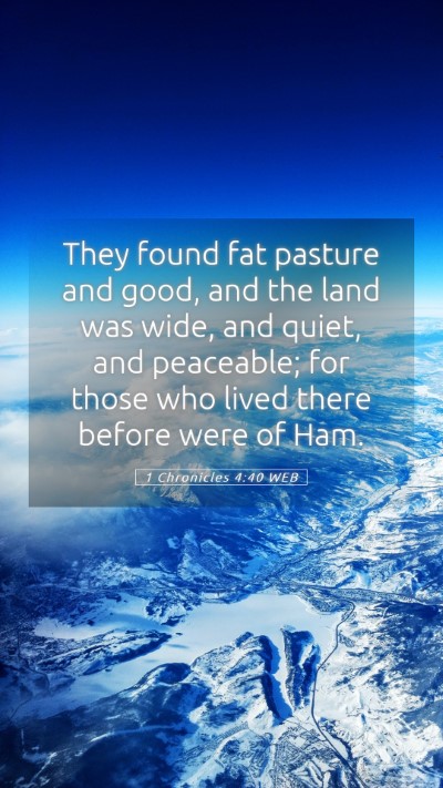 Picture 05 - 1 Chronicles 4:40 WEB Mobile Phone Wallpaper - They found fat pasture and good, and the land was - Mobile Bible Verse Wallpaper