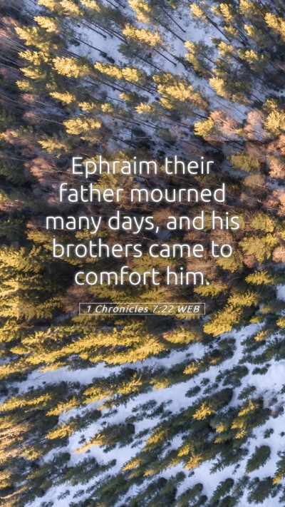Picture 05 - 1 Chronicles 7:22 WEB Mobile Phone Wallpaper - Ephraim their father mourned many days, and his - Mobile Bible Verse Wallpaper