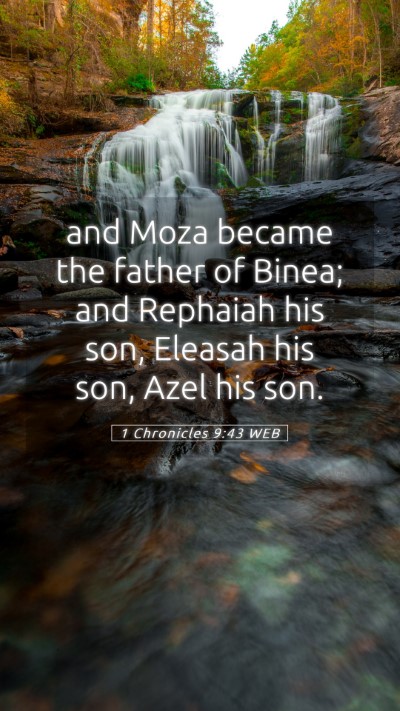 Picture 05 - 1 Chronicles 9:43 WEB Mobile Phone Wallpaper - and Moza became the father of Binea; and Rephaiah - Mobile Bible Verse Wallpaper