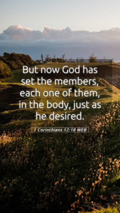 Picture 05 - 1 Corinthians 12:18 WEB Mobile Phone Wallpaper - But now God has set the members, each one of - Mobile Bible Verse Wallpaper