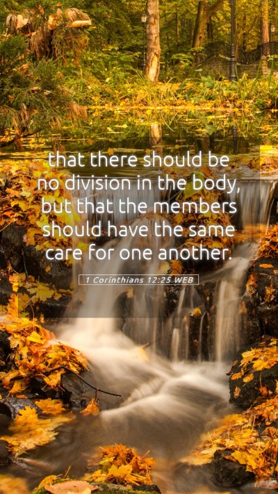 Picture 05 - 1 Corinthians 12:25 WEB Mobile Phone Wallpaper - that there should be no division in the body, but - Mobile Bible Verse Wallpaper
