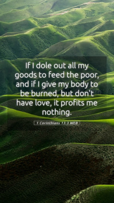 Picture 05 - 1 Corinthians 13:3 WEB Mobile Phone Wallpaper - If I dole out all my goods to feed the poor, and - Mobile Bible Verse Wallpaper