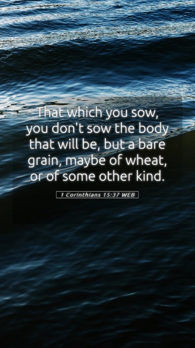 Picture 05 - 1 Corinthians 15:37 WEB Mobile Phone Wallpaper - That which you sow, you don't sow the body that - Mobile Bible Verse Wallpaper