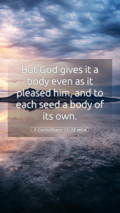 Picture 05 - 1 Corinthians 15:38 WEB Mobile Phone Wallpaper - But God gives it a body even as it pleased him, - Mobile Bible Verse Wallpaper