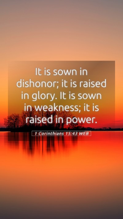 Picture 05 - 1 Corinthians 15:43 WEB Mobile Phone Wallpaper - It is sown in dishonor; it is raised in glory. It - Mobile Bible Verse Wallpaper