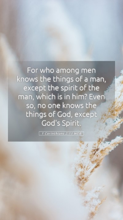 Picture 05 - 1 Corinthians 2:11 WEB Mobile Phone Wallpaper - For who among men knows the things of a man, - Mobile Bible Verse Wallpaper