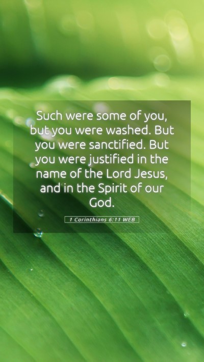 Picture 05 - 1 Corinthians 6:11 WEB Mobile Phone Wallpaper - Such were some of you, but you were washed. But - Mobile Bible Verse Wallpaper
