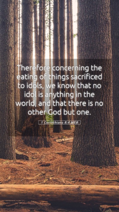 Picture 05 - 1 Corinthians 8:4 WEB Mobile Phone Wallpaper - Therefore concerning the eating of things - Mobile Bible Verse Wallpaper