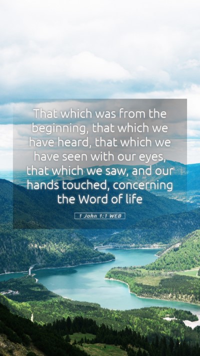 Picture 05 - 1 John 1:1 WEB Mobile Phone Wallpaper - That which was from the beginning, that which we - Mobile Bible Verse Wallpaper