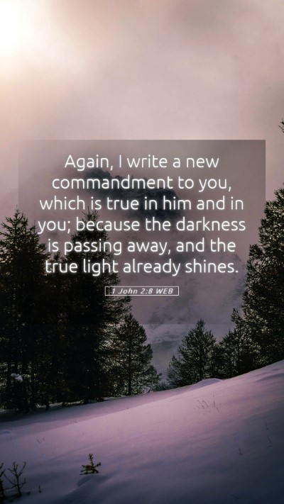 Picture 05 - 1 John 2:8 WEB Mobile Phone Wallpaper - Again, I write a new commandment to you, which is - Mobile Bible Verse Wallpaper