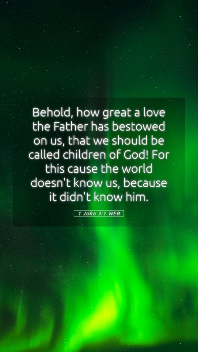 Picture 05 - 1 John 3:1 WEB Mobile Phone Wallpaper - Behold, how great a love the Father has bestowed - Mobile Bible Verse Wallpaper