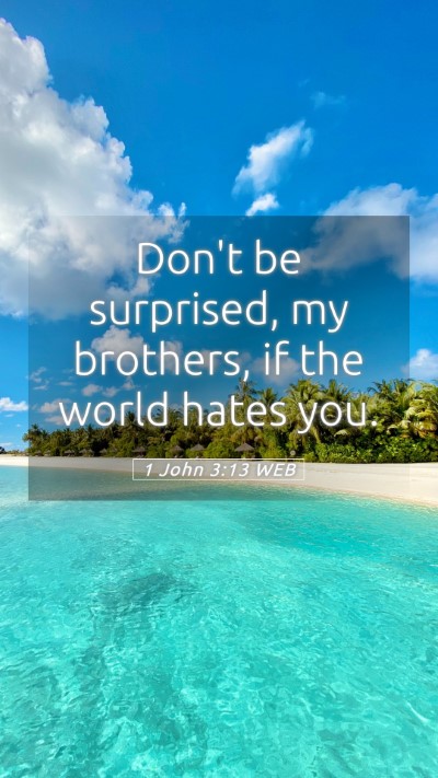 Picture 05 - 1 John 3:13 WEB Mobile Phone Wallpaper - Don't be surprised, my brothers, if the world - Mobile Bible Verse Wallpaper