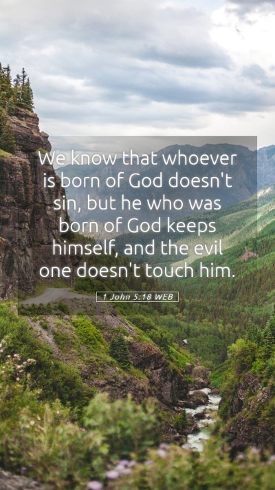 Picture 05 - 1 John 5:18 WEB Mobile Phone Wallpaper - We know that whoever is born of God doesn't sin, - Mobile Bible Verse Wallpaper