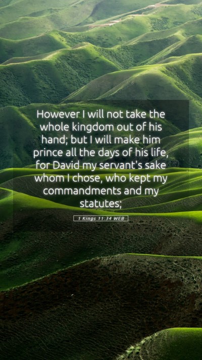Picture 05 - 1 Kings 11:34 WEB Mobile Phone Wallpaper - However I will not take the whole kingdom out of - Mobile Bible Verse Wallpaper