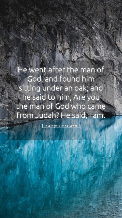 Picture 05 - 1 Kings 13:14 WEB Mobile Phone Wallpaper - He went after the man of God, and found him - Mobile Bible Verse Wallpaper