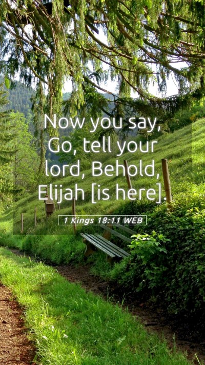Picture 05 - 1 Kings 18:11 WEB Mobile Phone Wallpaper - Now you say, Go, tell your lord, Behold, Elijah - Mobile Bible Verse Wallpaper