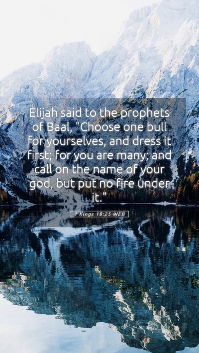 Picture 05 - 1 Kings 18:25 WEB Mobile Phone Wallpaper - Elijah said to the prophets of Baal, 