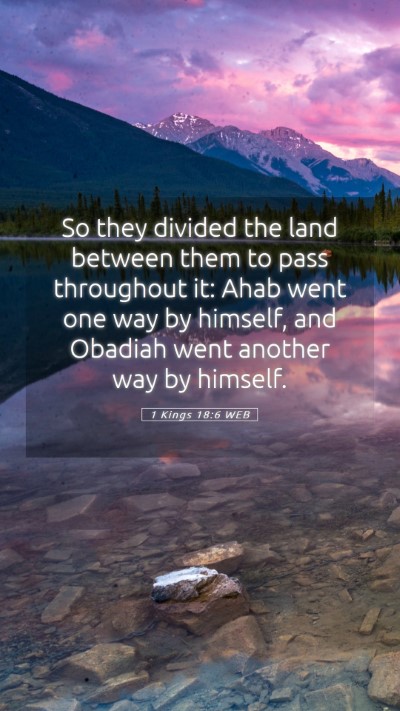 Picture 05 - 1 Kings 18:6 WEB Mobile Phone Wallpaper - So they divided the land between them to pass - Mobile Bible Verse Wallpaper