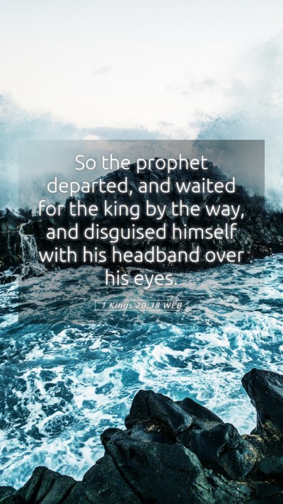 Picture 05 - 1 Kings 20:38 WEB Mobile Phone Wallpaper - So the prophet departed, and waited for the king - Mobile Bible Verse Wallpaper