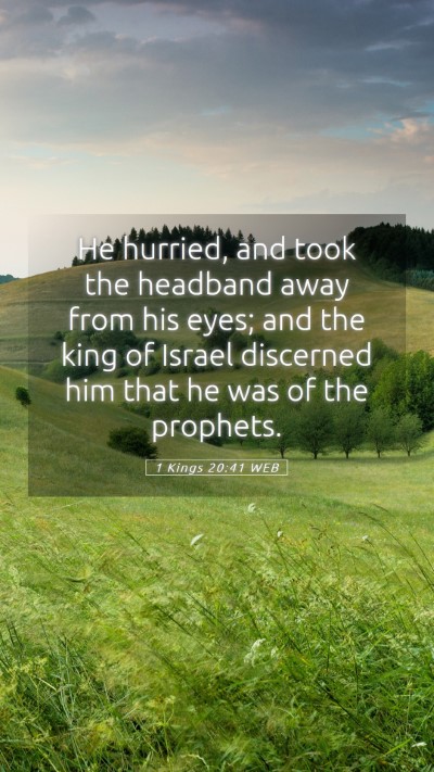 Picture 05 - 1 Kings 20:41 WEB Mobile Phone Wallpaper - He hurried, and took the headband away from his - Mobile Bible Verse Wallpaper