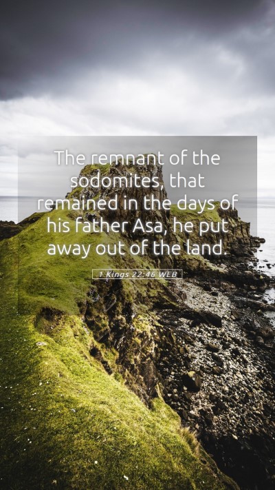 Picture 05 - 1 Kings 22:46 WEB Mobile Phone Wallpaper - The remnant of the sodomites, that remained in - Mobile Bible Verse Wallpaper