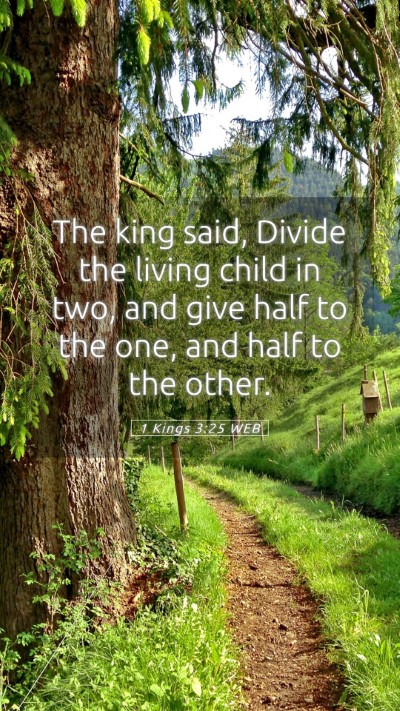 Picture 05 - 1 Kings 3:25 WEB Mobile Phone Wallpaper - The king said, Divide the living child in two, - Mobile Bible Verse Wallpaper