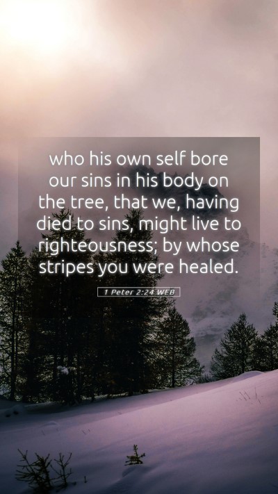 Picture 05 - 1 Peter 2:24 WEB Mobile Phone Wallpaper - who his own self bore our sins in his body on the - Mobile Bible Verse Wallpaper