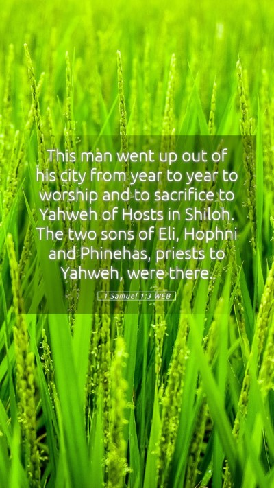 Picture 05 - 1 Samuel 1:3 WEB Mobile Phone Wallpaper - This man went up out of his city from year to - Mobile Bible Verse Wallpaper