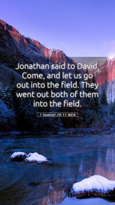 Picture 05 - 1 Samuel 20:11 WEB Mobile Phone Wallpaper - Jonathan said to David, Come, and let us go out - Mobile Bible Verse Wallpaper