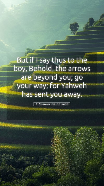 Picture 05 - 1 Samuel 20:22 WEB Mobile Phone Wallpaper - But if I say thus to the boy, Behold, the arrows - Mobile Bible Verse Wallpaper