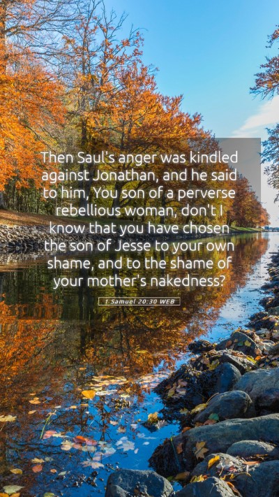Picture 05 - 1 Samuel 20:30 WEB Mobile Phone Wallpaper - Then Saul's anger was kindled against Jonathan, - Mobile Bible Verse Wallpaper