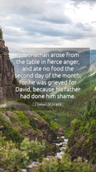 Picture 05 - 1 Samuel 20:34 WEB Mobile Phone Wallpaper - So Jonathan arose from the table in fierce anger, - Mobile Bible Verse Wallpaper
