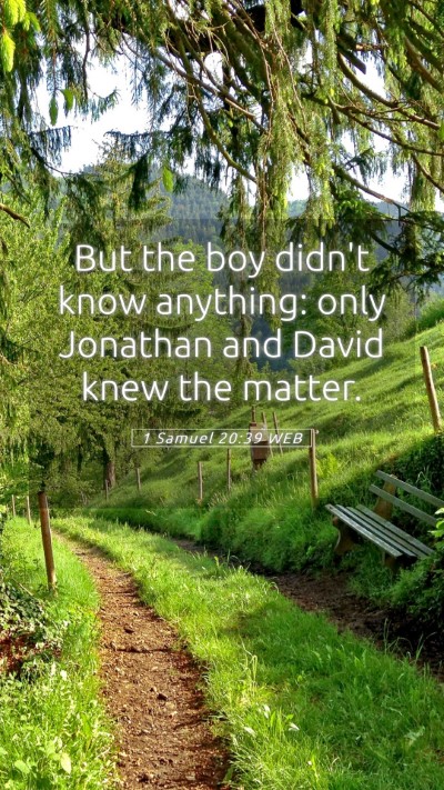 Picture 05 - 1 Samuel 20:39 WEB Mobile Phone Wallpaper - But the boy didn't know anything: only Jonathan - Mobile Bible Verse Wallpaper