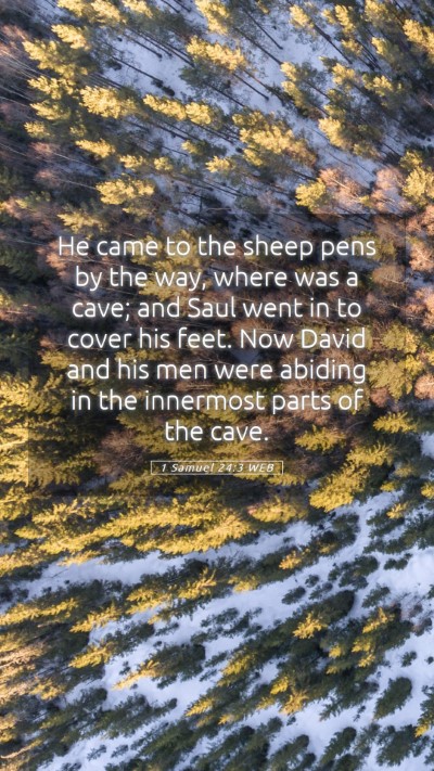 Picture 05 - 1 Samuel 24:3 WEB Mobile Phone Wallpaper - He came to the sheep pens by the way, where was a - Mobile Bible Verse Wallpaper