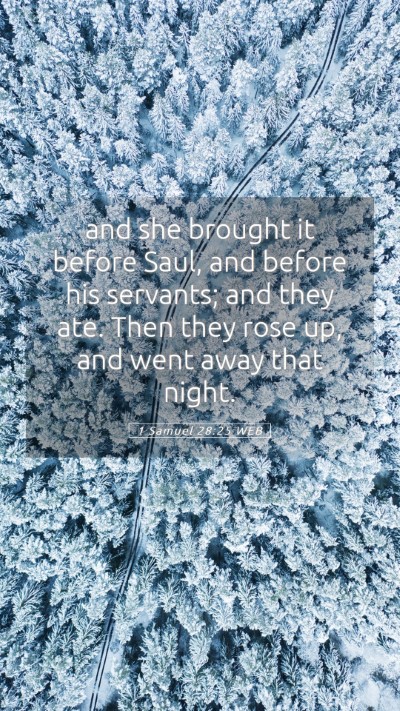 Picture 05 - 1 Samuel 28:25 WEB Mobile Phone Wallpaper - and she brought it before Saul, and before his - Mobile Bible Verse Wallpaper