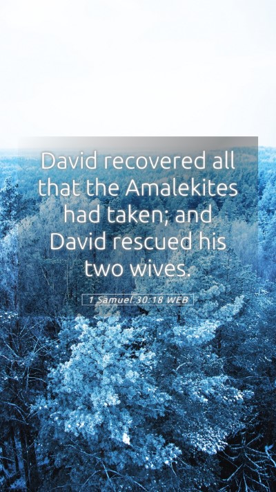 Picture 05 - 1 Samuel 30:18 WEB Mobile Phone Wallpaper - David recovered all that the Amalekites had - Mobile Bible Verse Wallpaper