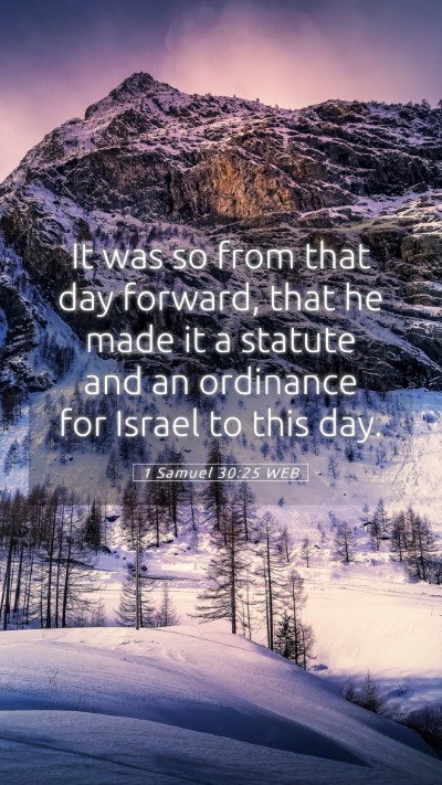 Picture 05 - 1 Samuel 30:25 WEB Mobile Phone Wallpaper - It was so from that day forward, that he made it - Mobile Bible Verse Wallpaper