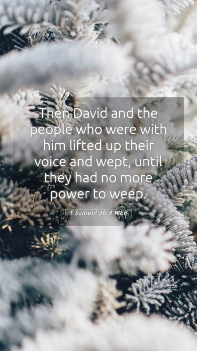 Picture 05 - 1 Samuel 30:4 WEB Mobile Phone Wallpaper - Then David and the people who were with him - Mobile Bible Verse Wallpaper