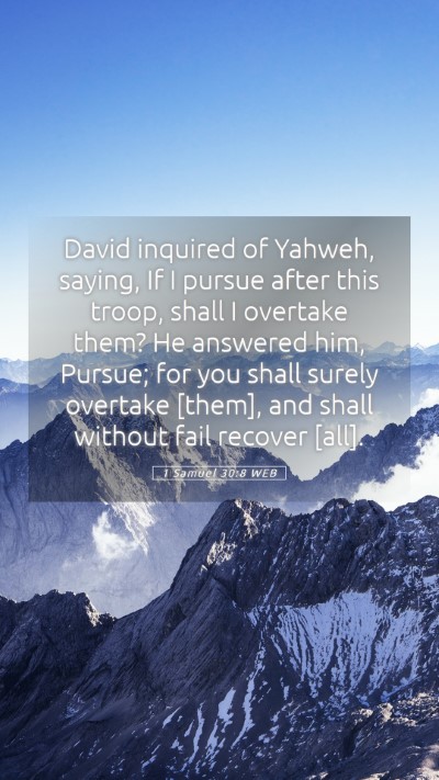 Picture 05 - 1 Samuel 30:8 WEB Mobile Phone Wallpaper - David inquired of Yahweh, saying, If I pursue - Mobile Bible Verse Wallpaper