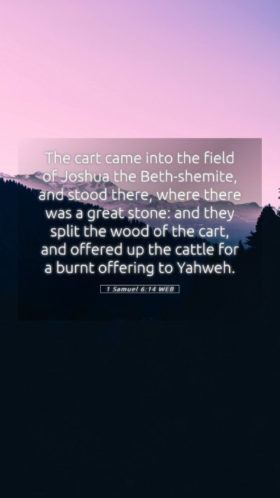 Picture 05 - 1 Samuel 6:14 WEB Mobile Phone Wallpaper - The cart came into the field of Joshua the - Mobile Bible Verse Wallpaper