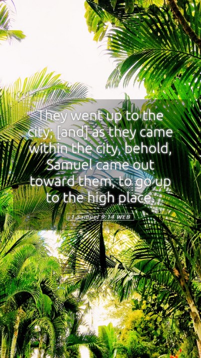 Picture 05 - 1 Samuel 9:14 WEB Mobile Phone Wallpaper - They went up to the city; [and] as they came - Mobile Bible Verse Wallpaper