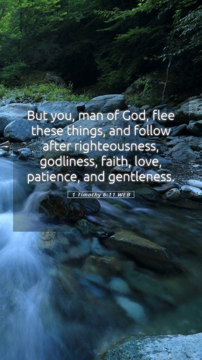Picture 05 - 1 Timothy 6:11 WEB Mobile Phone Wallpaper - But you, man of God, flee these things, and - Mobile Bible Verse Wallpaper