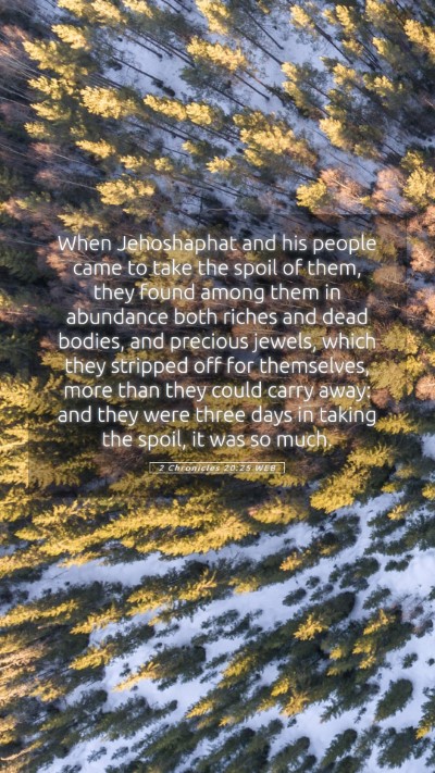 Picture 05 - 2 Chronicles 20:25 WEB Mobile Phone Wallpaper - When Jehoshaphat and his people came to take the - Mobile Bible Verse Wallpaper